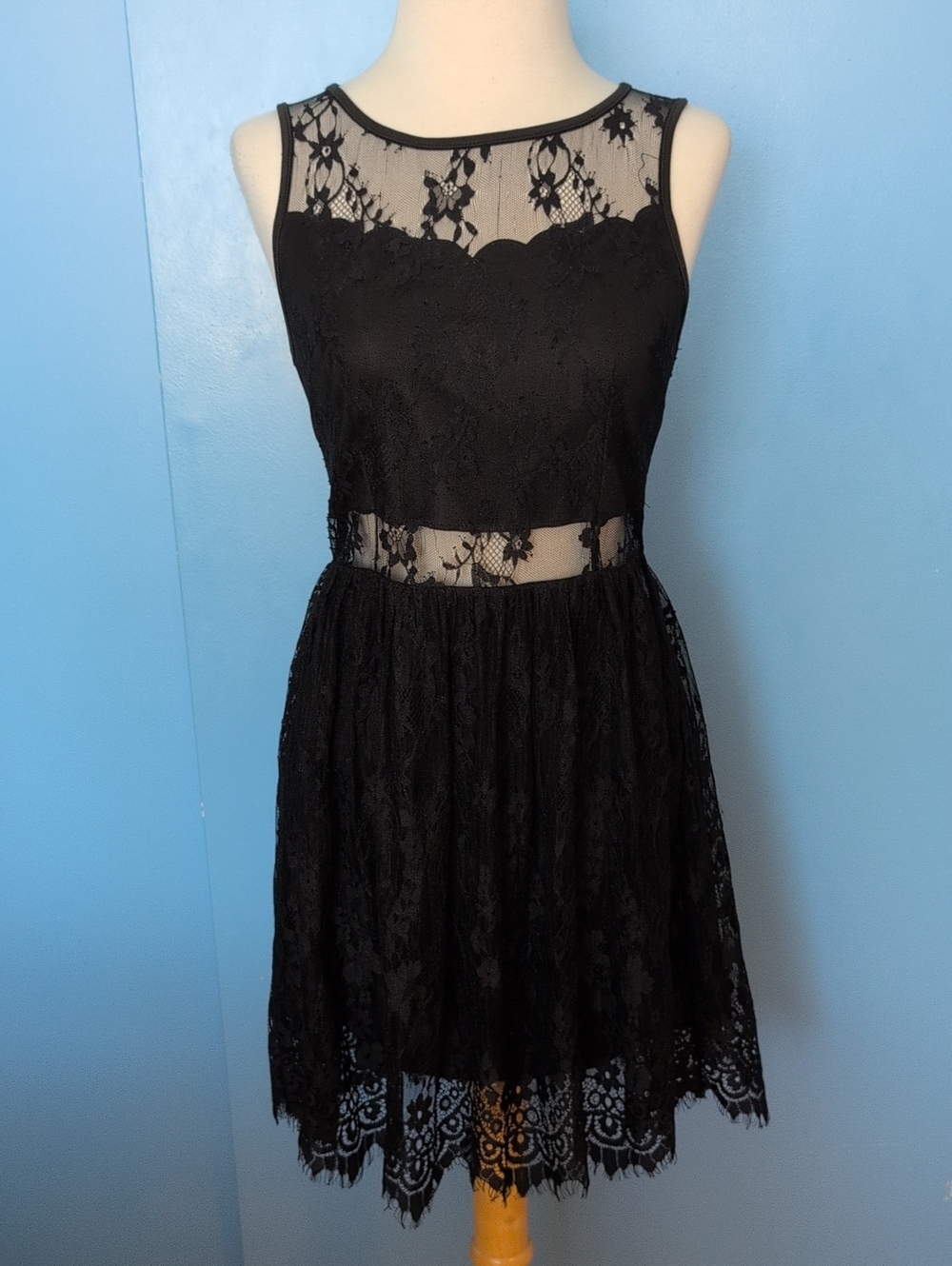 Francescas Black Lace Sleeveless Sheer Waist Skater Dress Size S Eyelash Hem
